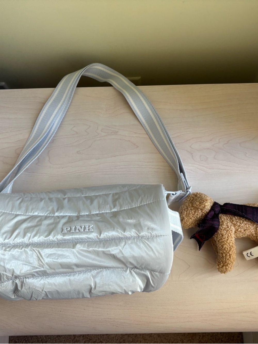 New Pink by Victoria’s Secret Light Blue Crossbody bag & Puppy Set